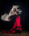 Flamenco-Boadilla