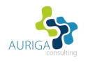 Auriga Consulting