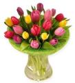 Ramo-de-tulipanes