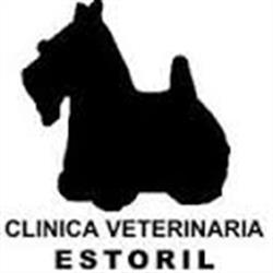Camello Tren añadir ▷ Clínica Veterinaria Estoril, Móstoles