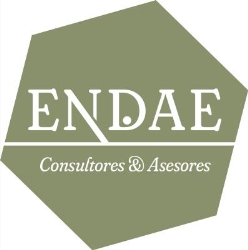 Asesoría y consultoría Endae