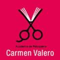 Academiadepeluqueria Carmen Valero